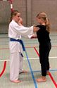 60 deelnemers aan Karate Challenge in Eversel