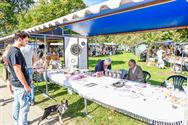 Massa volk en veel plezier op Wijersfeest op Bovy