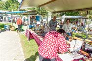 Massa volk en veel plezier op Wijersfeest op Bovy