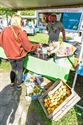 Massa volk en veel plezier op Wijersfeest op Bovy
