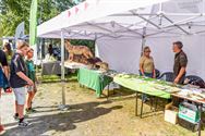 Massa volk en veel plezier op Wijersfeest op Bovy