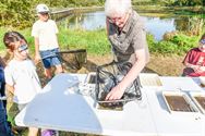 Massa volk en veel plezier op Wijersfeest op Bovy