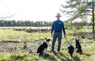 Herders: idylische job met veel zorgen