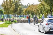Herders: idylische job met veel zorgen