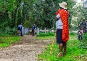 Herders: idylische job met veel zorgen