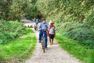 Herders: idylische job met veel zorgen