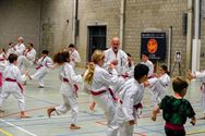 Roze karategordel in de strijd tegen borstkanker