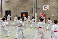 Roze karategordel in de strijd tegen borstkanker