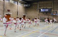 Roze karategordel in de strijd tegen borstkanker