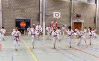 Roze karategordel in de strijd tegen borstkanker