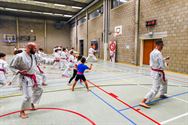 Roze karategordel in de strijd tegen borstkanker