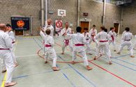 Roze karategordel in de strijd tegen borstkanker
