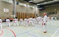 Roze karategordel in de strijd tegen borstkanker