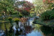 NEOS op verkenning in de Japanse Tuin
