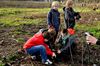 Kinderen planten kamperfoelie op Bovy