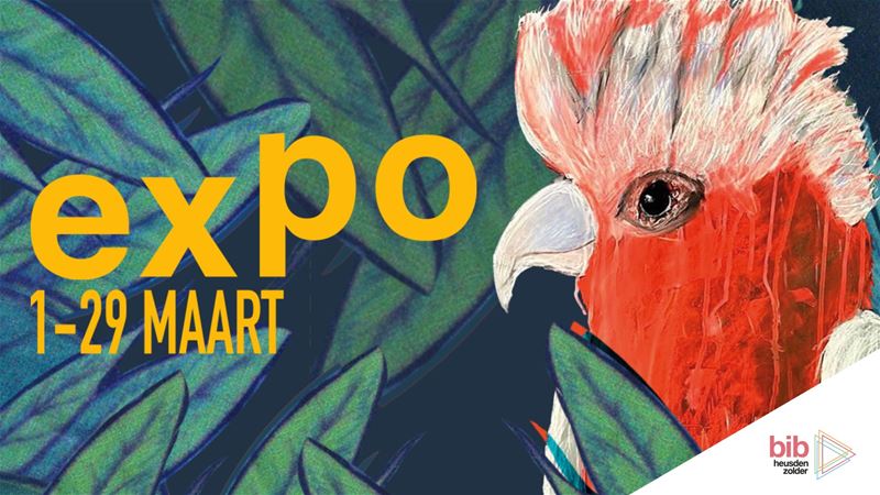 Expo | Jungle